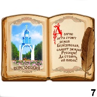 Сувенир Магнит Березовский (книга) - купить Г232/007