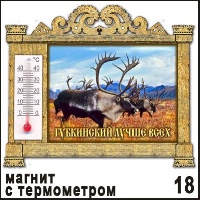 Магнит Губкинский (арка с терм.) 8,8*10,9_1