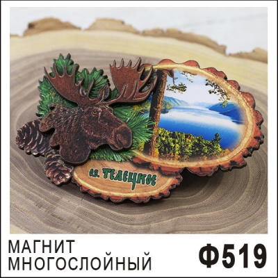 Ф519-1