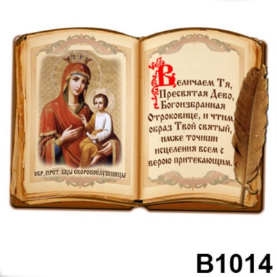 Скоропослушница (книга с пером)_1