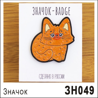 ЗН049
