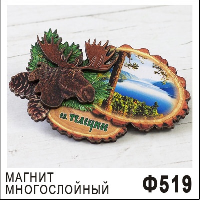 Ф519