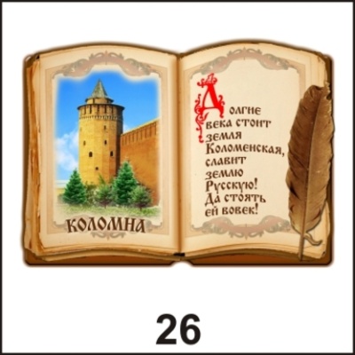 Магнит Коломна (Книга)_1