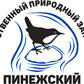 Купить магниты, сувениры Радовицкий монастырь