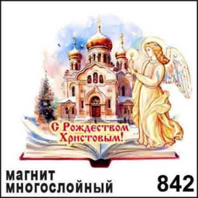 НГ842