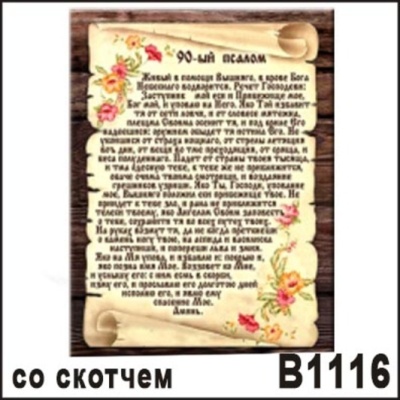 В1116