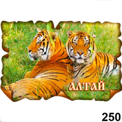 Магнит Алтай (винтаж)_1