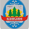 Купить магниты, сувениры Бикин