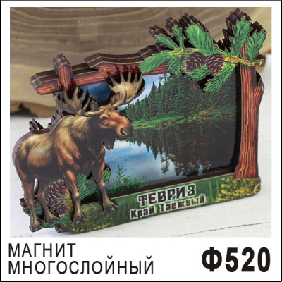 Ф520